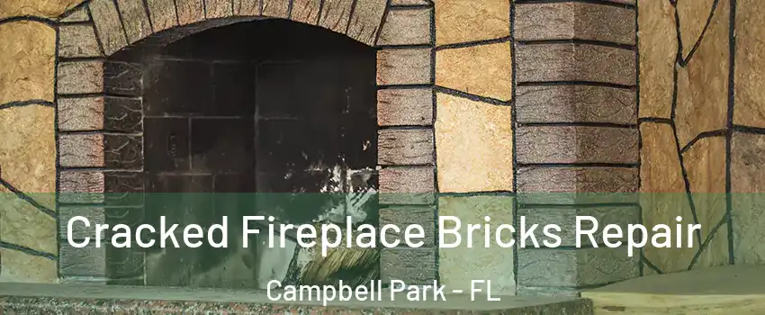 Cracked Fireplace Bricks Repair Campbell Park - FL