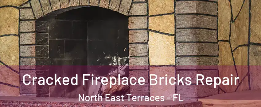 Cracked Fireplace Bricks Repair North East Terraces - FL