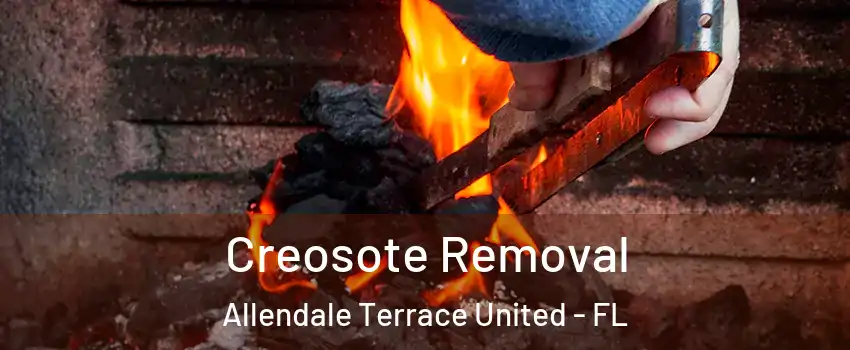 Creosote Removal Allendale Terrace United - FL