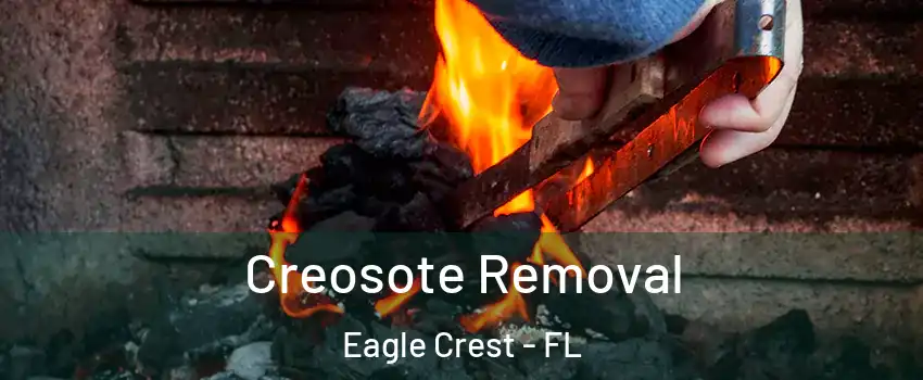 Creosote Removal Eagle Crest - FL