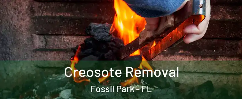 Creosote Removal Fossil Park - FL