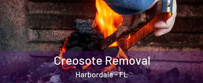 Creosote Removal Harbordale - FL