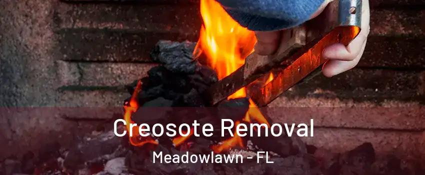 Creosote Removal Meadowlawn - FL
