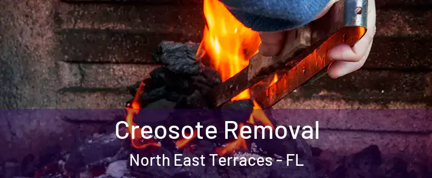 Creosote Removal North East Terraces - FL