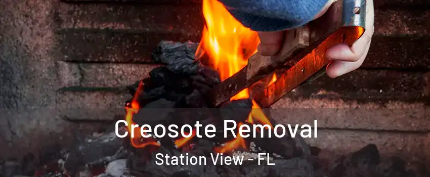 Creosote Removal Station View - FL