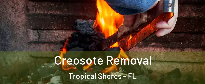 Creosote Removal Tropical Shores - FL