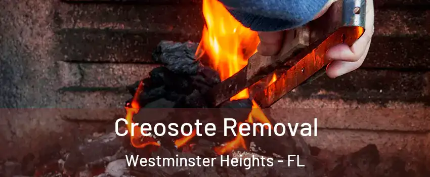 Creosote Removal Westminster Heights - FL