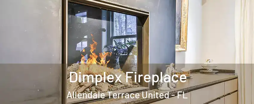 Dimplex Fireplace Allendale Terrace United - FL