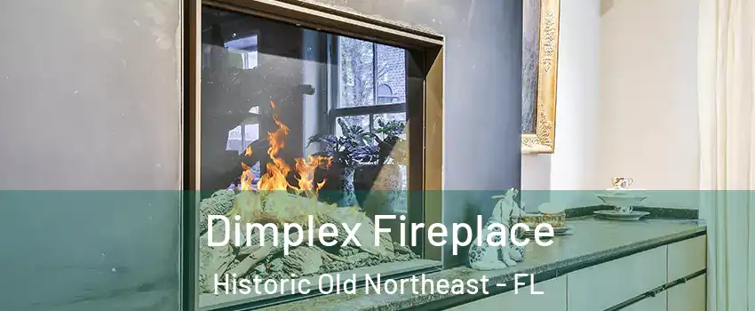 Dimplex Fireplace Historic Old Northeast - FL