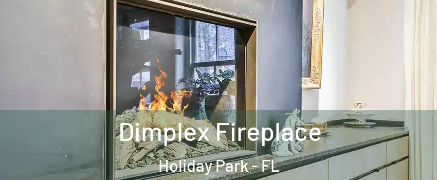 Dimplex Fireplace Holiday Park - FL