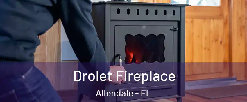 Drolet Fireplace Allendale - FL