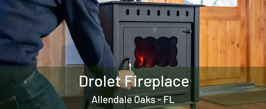 Drolet Fireplace Allendale Oaks - FL