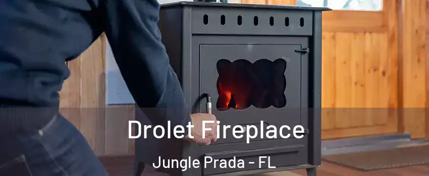 Drolet Fireplace Jungle Prada - FL