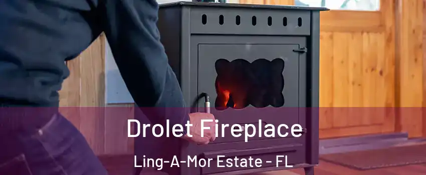 Drolet Fireplace Ling-A-Mor Estate - FL