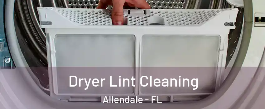 Dryer Lint Cleaning Allendale - FL