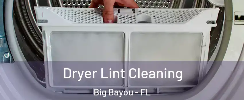 Dryer Lint Cleaning Big Bayou - FL