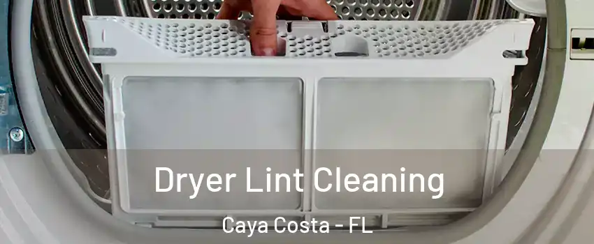 Dryer Lint Cleaning Caya Costa - FL