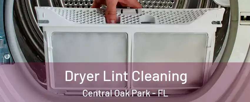 Dryer Lint Cleaning Central Oak Park - FL