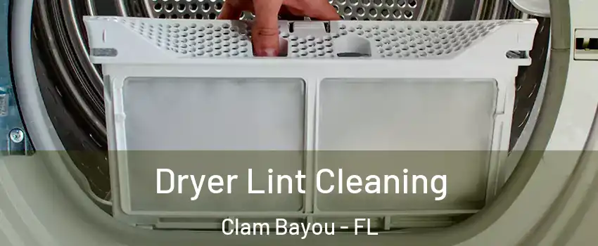 Dryer Lint Cleaning Clam Bayou - FL