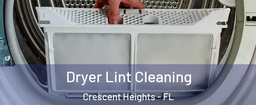 Dryer Lint Cleaning Crescent Heights - FL