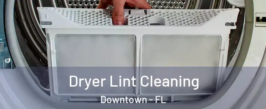 Dryer Lint Cleaning Downtown - FL