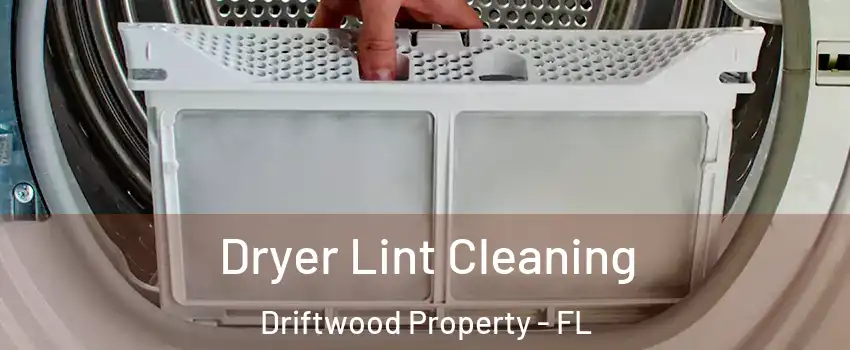 Dryer Lint Cleaning Driftwood Property - FL