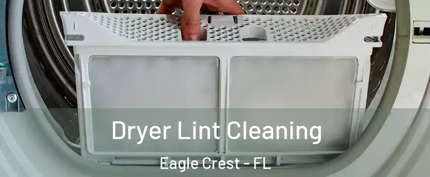 Dryer Lint Cleaning Eagle Crest - FL
