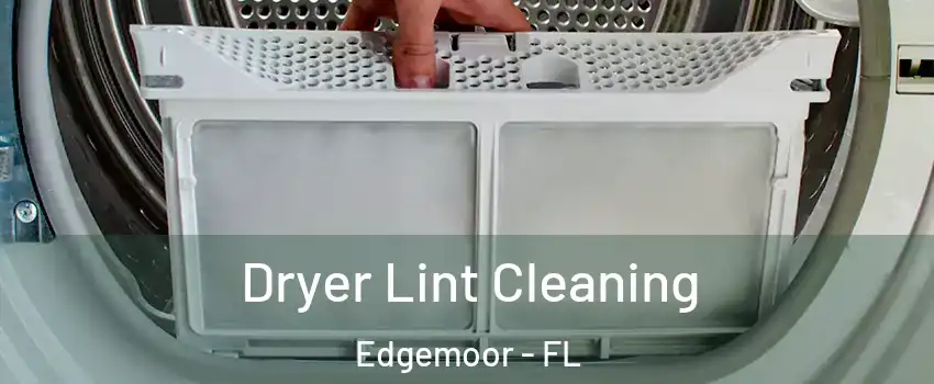 Dryer Lint Cleaning Edgemoor - FL