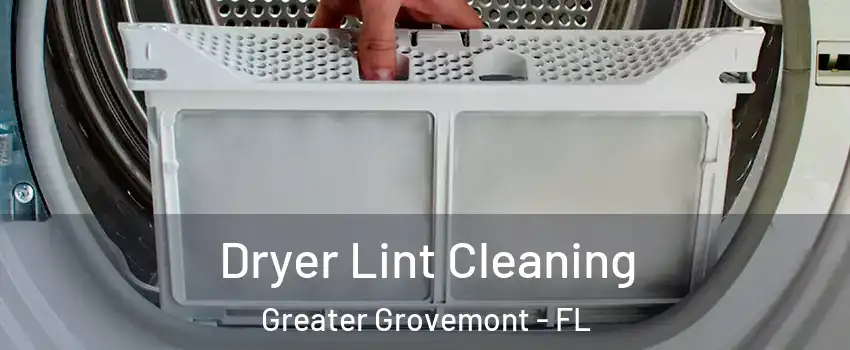 Dryer Lint Cleaning Greater Grovemont - FL