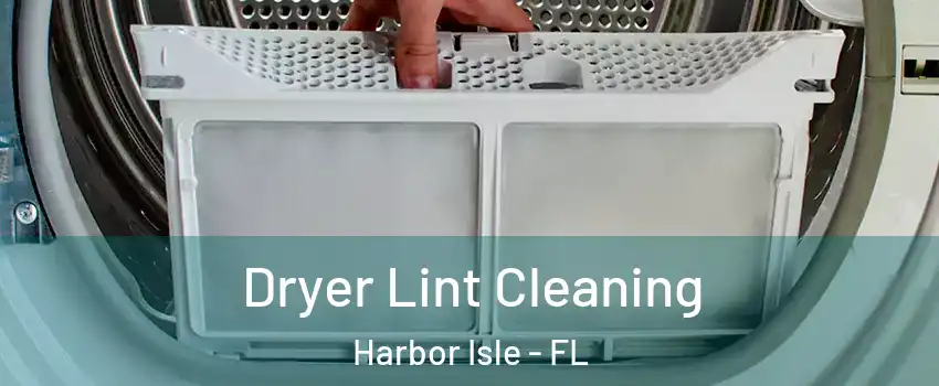 Dryer Lint Cleaning Harbor Isle - FL