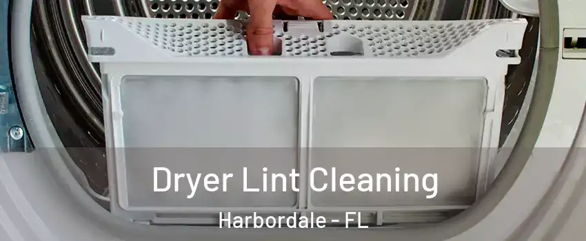 Dryer Lint Cleaning Harbordale - FL