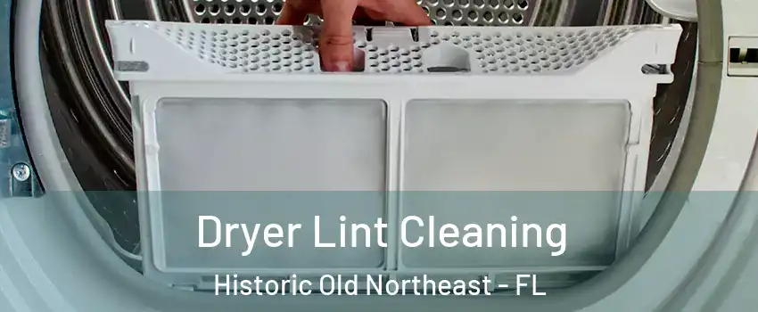 Dryer Lint Cleaning Historic Old Northeast - FL