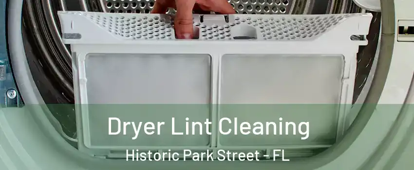 Dryer Lint Cleaning Historic Park Street - FL