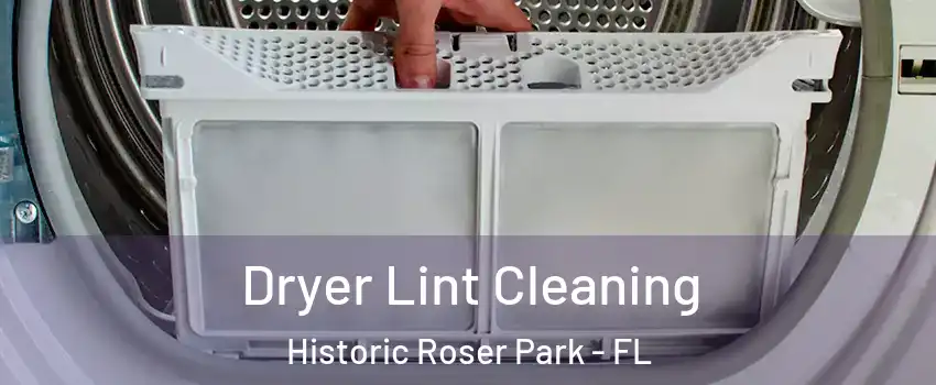 Dryer Lint Cleaning Historic Roser Park - FL