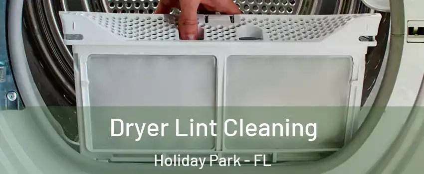 Dryer Lint Cleaning Holiday Park - FL