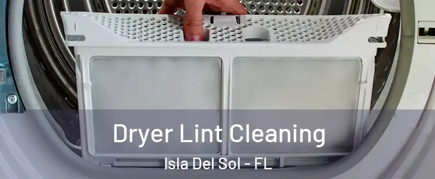 Dryer Lint Cleaning Isla Del Sol - FL