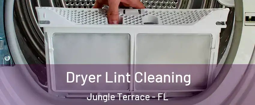 Dryer Lint Cleaning Jungle Terrace - FL