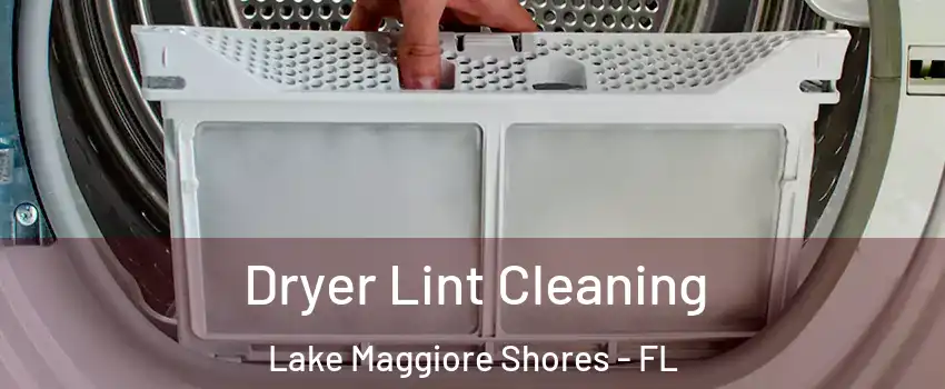 Dryer Lint Cleaning Lake Maggiore Shores - FL