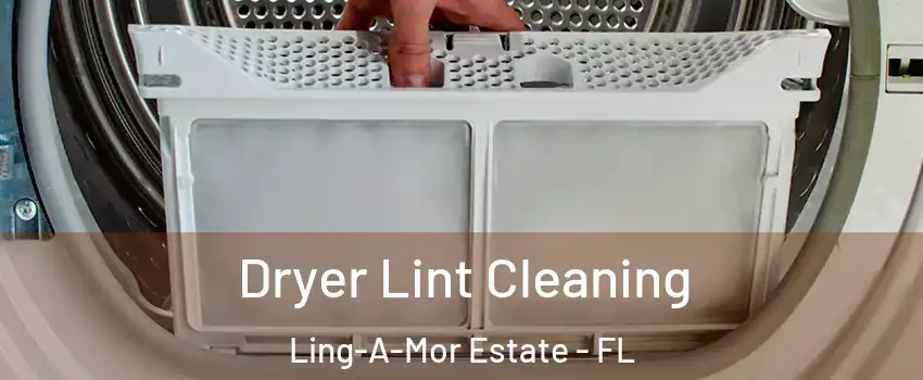 Dryer Lint Cleaning Ling-A-Mor Estate - FL