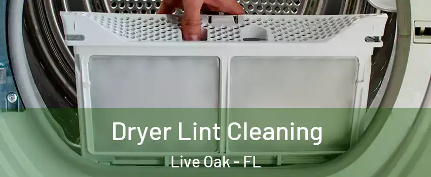 Dryer Lint Cleaning Live Oak - FL