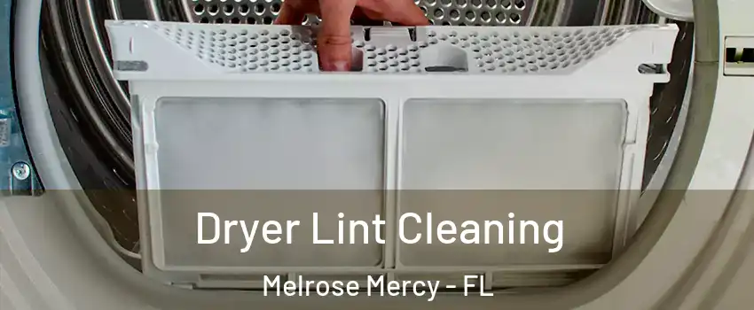 Dryer Lint Cleaning Melrose Mercy - FL