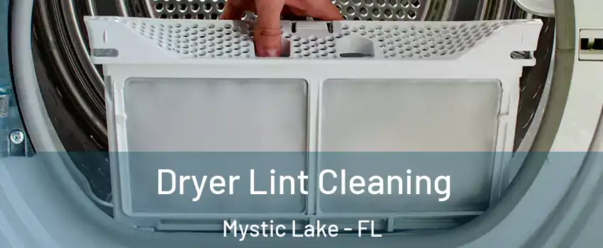 Dryer Lint Cleaning Mystic Lake - FL