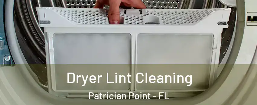 Dryer Lint Cleaning Patrician Point - FL