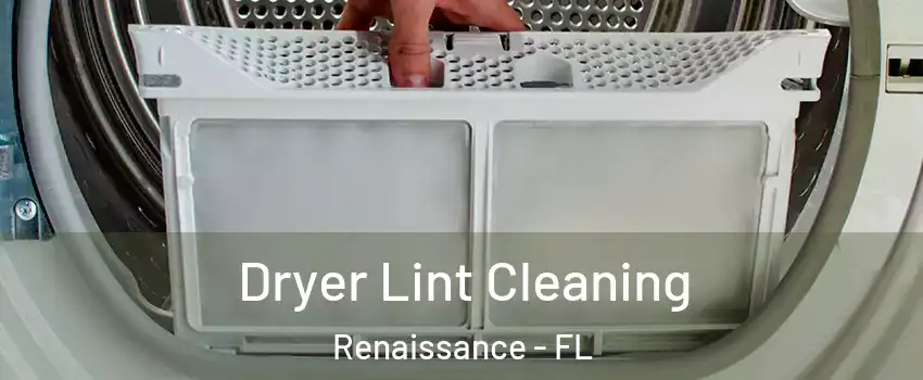 Dryer Lint Cleaning Renaissance - FL