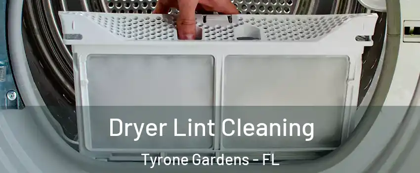 Dryer Lint Cleaning Tyrone Gardens - FL