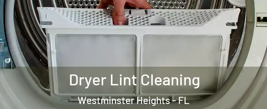 Dryer Lint Cleaning Westminster Heights - FL