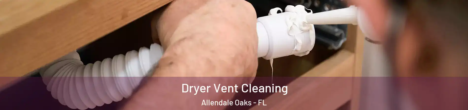 Dryer Vent Cleaning Allendale Oaks - FL