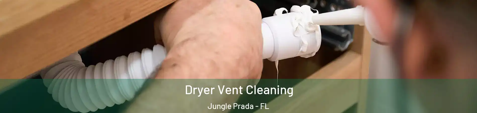 Dryer Vent Cleaning Jungle Prada - FL