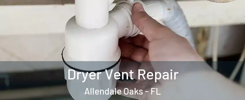 Dryer Vent Repair Allendale Oaks - FL
