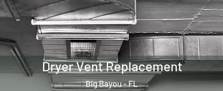 Dryer Vent Replacement Big Bayou - FL